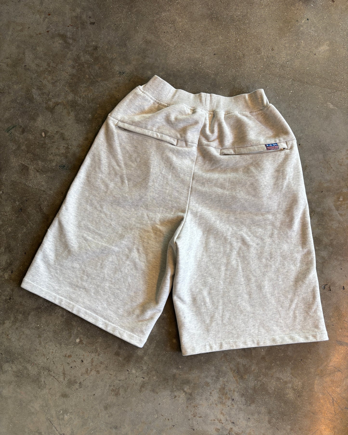 LFR Biggie Shorts in Heather