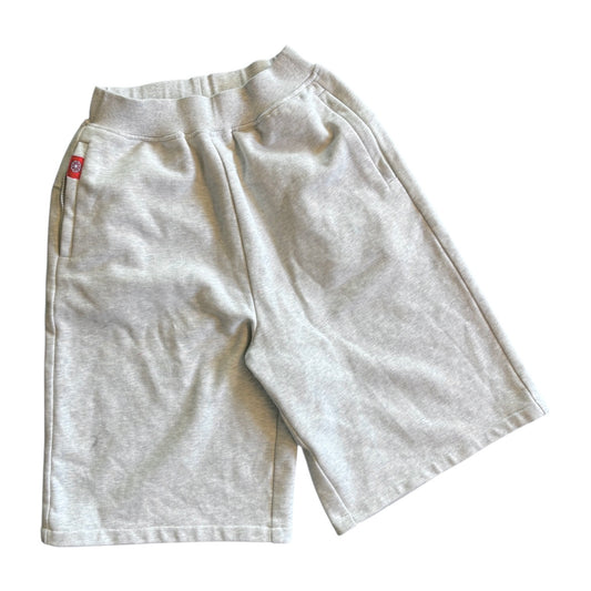 LFR Biggie Shorts in Heather